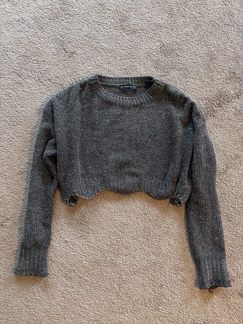 ZARA Sparkly Cropped Chunky Knit Sweater